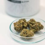 Cannabinoid Snacks