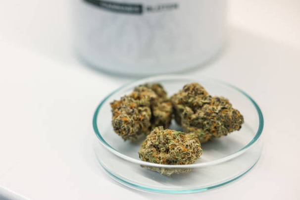 Cannabinoid Snacks