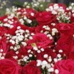 Valentine's Day Flower