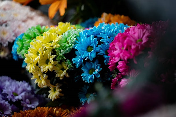 4 Floral Color